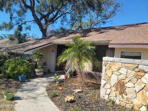 6231 Wayside Court, Spring Hill, FL 34606