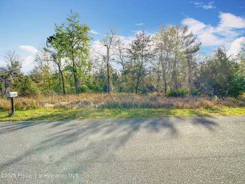 Maripoe Road, Weeki Wachee, FL 34614