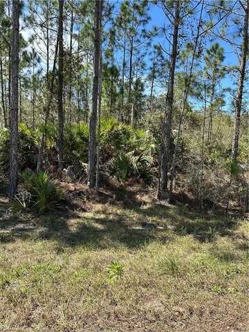 628 Barclay Street, Lake Placid, FL 33852