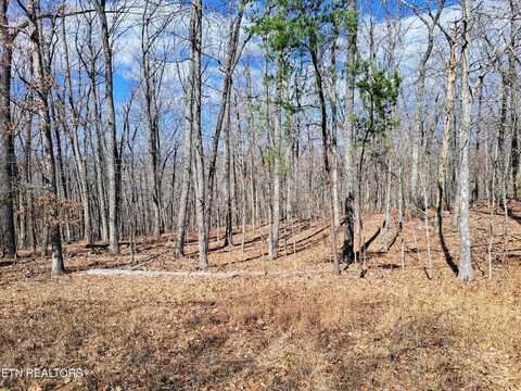 349 Rotherham Dr., Crossville, TN 38558