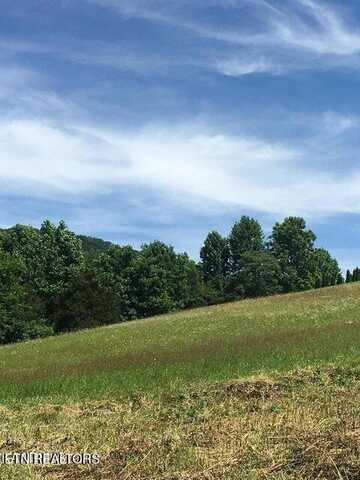 Lots 41,42,43 Mountain Perkins Lane, Jacksboro, TN 37757