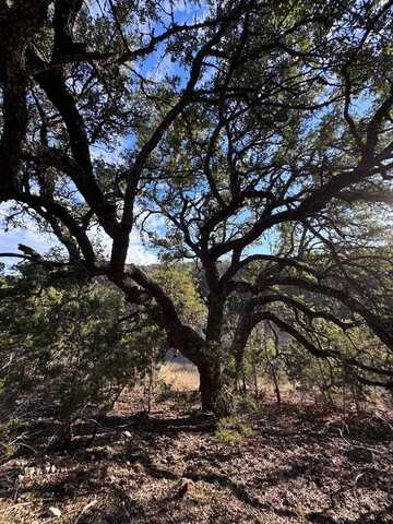 230 Marshall Dr, Kerrville, TX 78028
