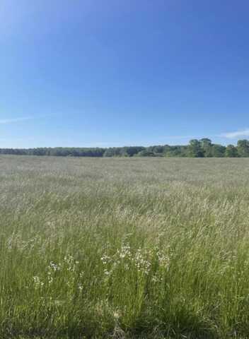 Edgewater Drive lot: 37, Russell Springs, KY 42642