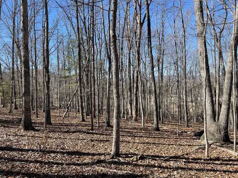 Lot 14 - Jeb Stuart Dr, Natural Bridge Station, VA 24579