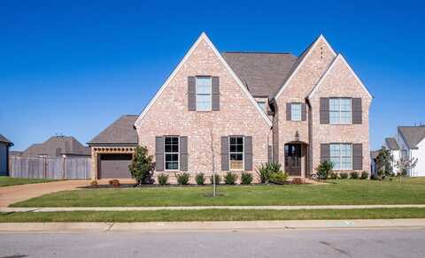 930 CYPRESS KNEE, Collierville, TN 38017