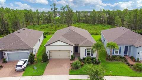 18629 COASTAL SHORE TERRACE, LAND O LAKES, FL 34638