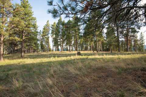 Tbd Leaning Tree Lane, Clancy, MT 59634