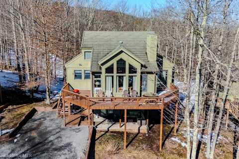 117 Treetop Lane, Davis, WV 26260