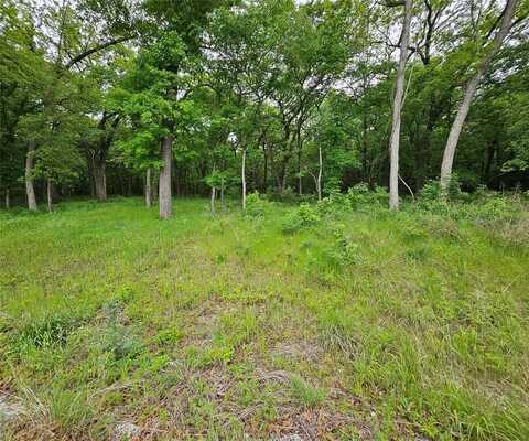 Lot 221 Banjo Court, Alvord, TX 76225