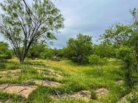 1570 CR383 Road, Woodson, TX 76491