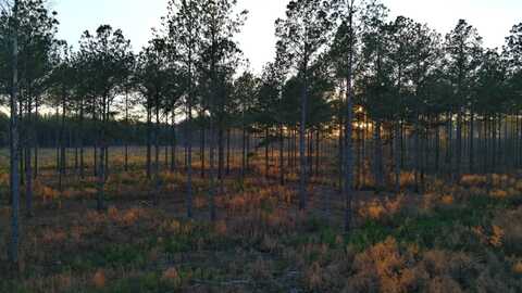 2678 County Rd 8, Tuskegee, AL 36083