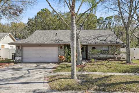 12030 STEPPINGSTONE BOULEVARD, TAMPA, FL 33635