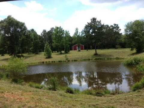 129 Buck Branch School Rd, Poplarville, MS 39470