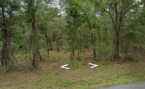 1652 E McKinley Street, Hernando, FL 34442