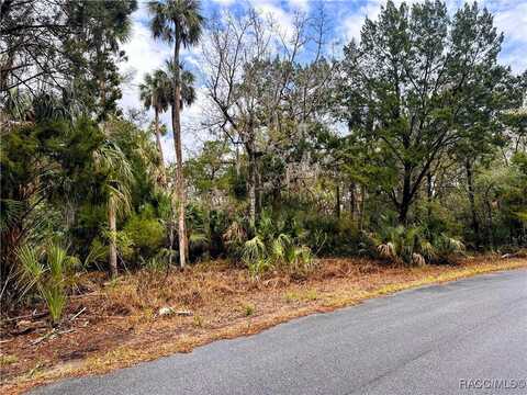 6250 S Banyon Drive, Homosassa, FL 34448