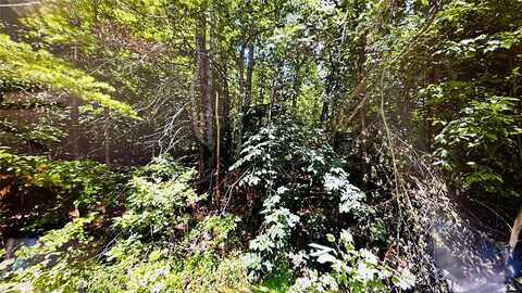 undefined, Other City - Not In The State Of Florida, TN 38555