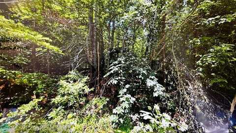 undefined, Other City - Not In The State Of Florida, TN 38555