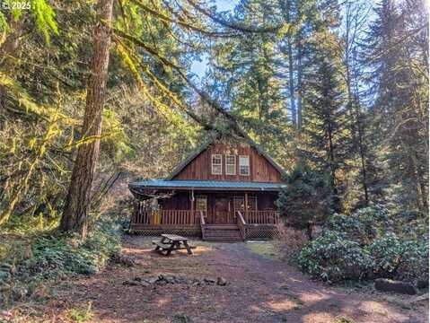 26565 E HENRY CREEK RD, Rhododendron, OR 97049