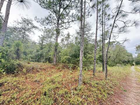 0 NE 83rd Lane, Bronson, FL 32621