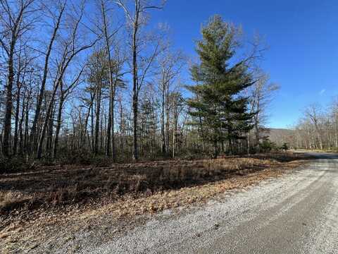 Lot 52 Black Diamond DR, New Castle, VA 24127