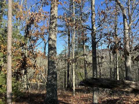 Lot 45 Black Diamond DR, New Castle, VA 24127