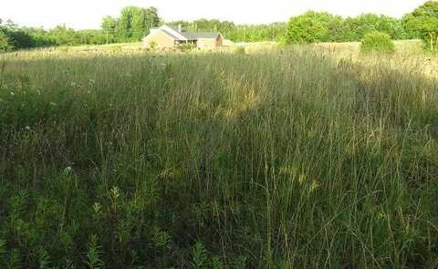 Lot #1 NC Highway 48, Littleton, NC 27850
