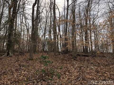 Lot 20 Barker Rd, Ebony, VA 23845