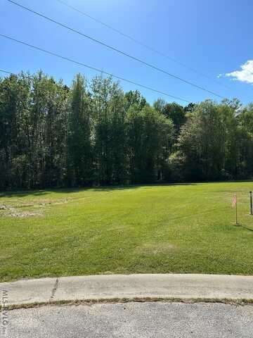 133 Pinewood Dr Lot # 11, Ahoskie, NC 27910