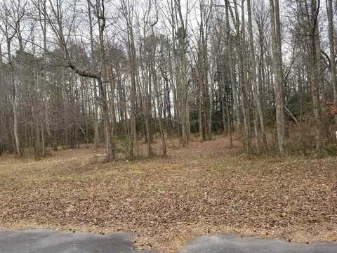 38 Green Ash Court, Roanoke Rapids, NC 27870