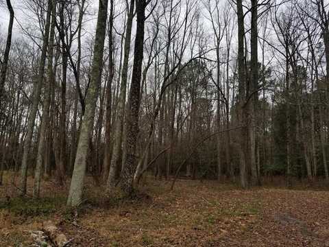 40 Green Ash Court, Roanoke Rapids, NC 27870