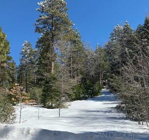 Laurel Trail Lot unit: 7, Pine Cove Idyllwild, CA 92549