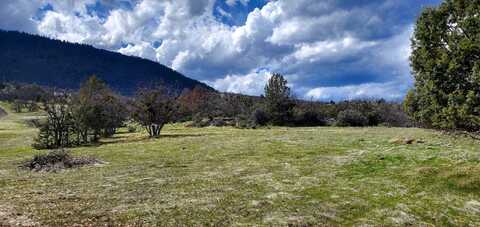 41 Acres Chipmunk Rd., Montague, CA 96064