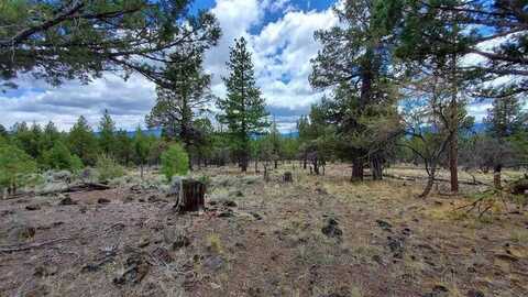 Robison Rd, MacDoel, CA 96058