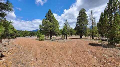 Robison Rd, MacDoel, CA 96058