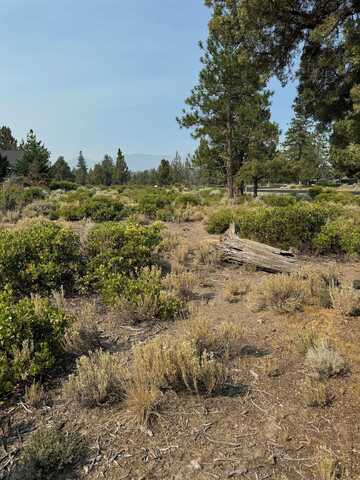 8-1 Lot 173 Rockwood, Weed, CA 96094