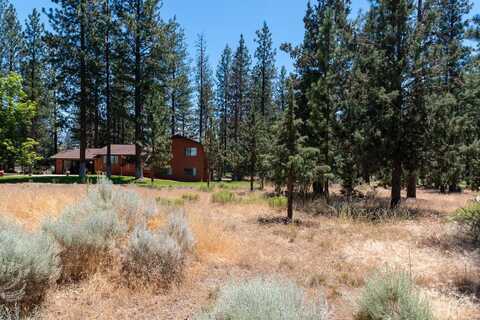 17217 Player Ct., Weed, CA 96094