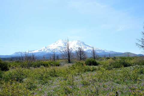 20 Acres Lot 36 Juniper Valley Circle, Weed, CA 96094