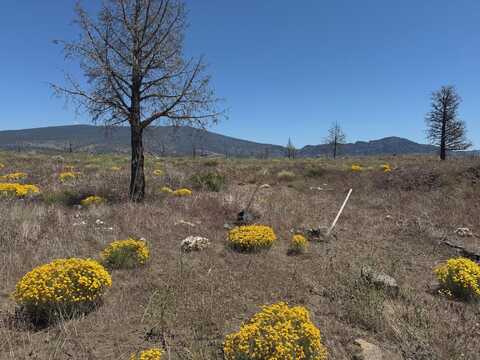 Blk 62 Lot 5 Roland Drive, Montague, CA 96064