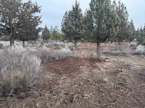 Unit 8-1 Lot 60 Pine Ln, Weed, CA 96094