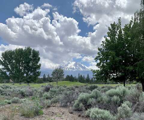 Lot 106 Tony Lema Dr, Weed, CA 96094