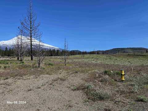 Lot 113 Buffalo, Weed, CA 96094
