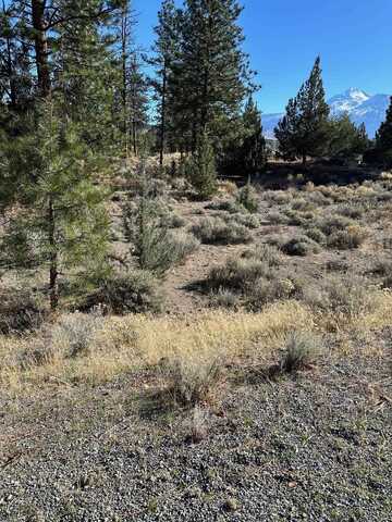 Lot 108 Lake Shore Drive, Weed, CA 96094
