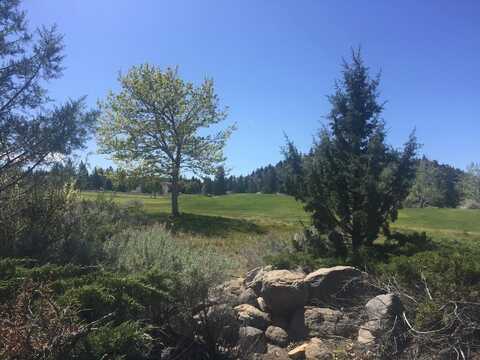 16808 Middlecoff Court, Weed, CA 96094
