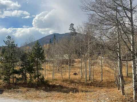 8016 RYAN GULCH ROAD, Silverthorne, CO 80498