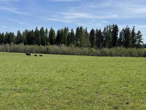 29210 N Spotted Rd, Deer Park, WA 99006