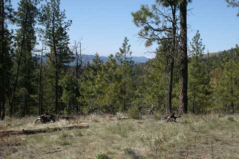 Coyote Canyon Rd, Fruitland, WA 99129