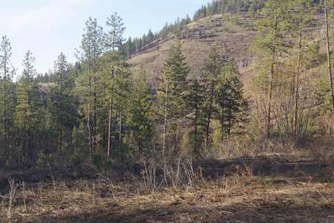 Nka Coyote Canyon Rd, Fruitland, WA 99129