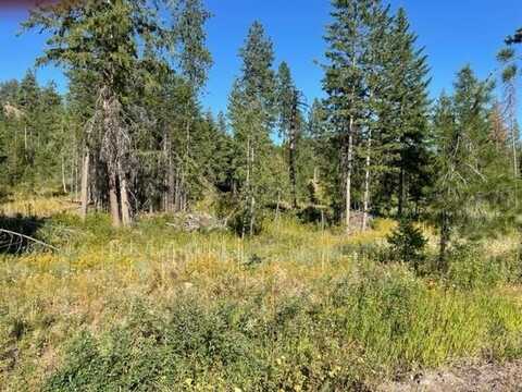 Nkn BEAD LAKE Rd, Usk, WA 99156