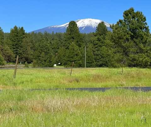 28115 N North Rd, Deer Park, WA 99006