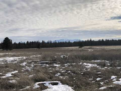 38920 N WAGON TONGUE Ln, Deer Park, WA 99006